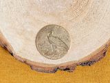 a small coin sitting on top of a piece of wood