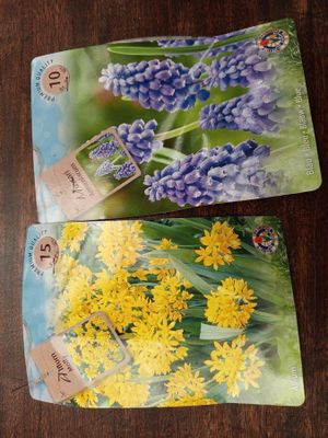 Lot de 50 sachets de graines de fleurs - Photo 1
