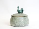 a small green bird sitting on top of a cracky container