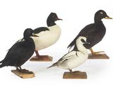 trois oiseaux posés sur un socle en bois