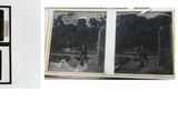 un collage de photos représentant des personnes et des animaux dans une pièce