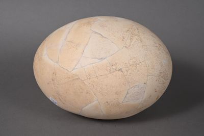 an image of a white ball on a gray surface
