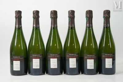 six bouteilles de vin sont alignées sur une surface blanche