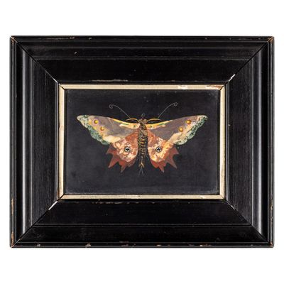 an image of a painting of a butterfly in a black frame