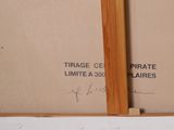 Photo 3/3 du lot