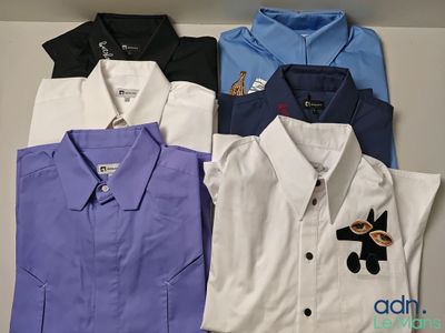 four different colored shirts are lined up on a shelf