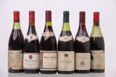 plusieurs bouteilles de vin sont alignées sur une table
