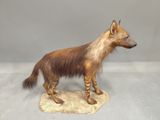 a stuffed hyena standing on top of a base