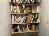a toilet in the corner of a room with a bookshelf