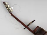 an image of a guitar with a string attached to it