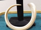 an image of a ring made out of fake ivory