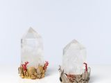 deux bagues en cristal et en or sur un fond blanc