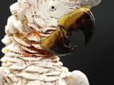 a close up of a white bird with a black background