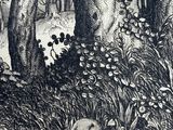 a black and white drawing of a bear in the woods