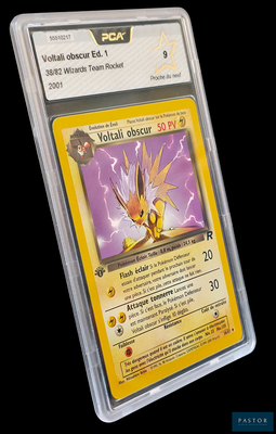 une image d'une carte Pokémon dans un étui en plastique