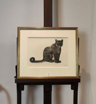 une photo d'un chat assis sur une table