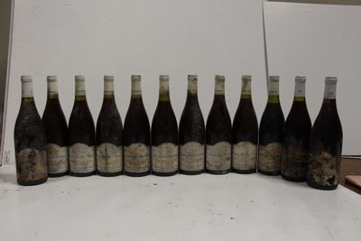 bottles of wine are lined up in a row on a table