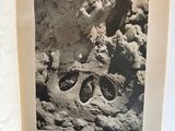 a black and white photo of a rock face in the sand