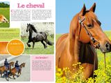 Photo 4/4 du lot