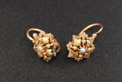 une photo d'une paire de boucles d'oreilles en or ornées de perles