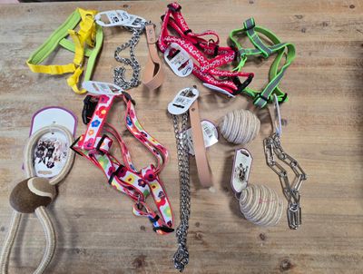 Plusieurs paires de chaussures et une paire de sandales sont disposées sur une table