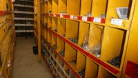 - 6 Rayonnages comprenant des coudes et raccords de toutes d… (photo 6)