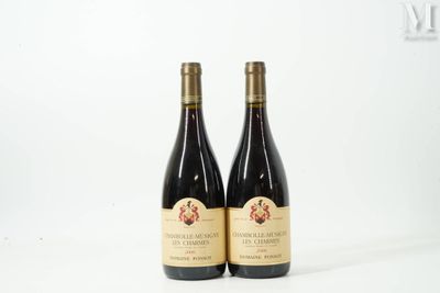 deux bouteilles de vin posées l'une à côté de l'autre sur une surface blanche