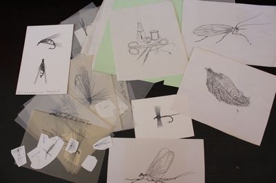 many cards with drawings of insects on them on a table