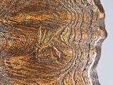 a close up of a wooden vase with a bird on it