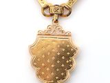 an image of a gold plated necklace with a shield on it