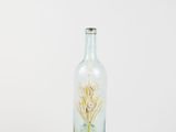 a glass bottle with flowers inside of it on a white surface