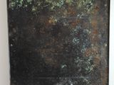 a black metal plate with green moss growing on it