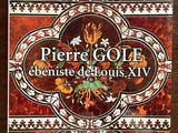 the book cover of pierre gole ' s debut of louis xiv