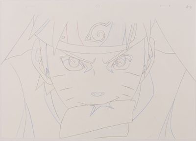 d'après l'œuvre de Masashi Kishimoto (岸本 斉史) - Hayato Date (…