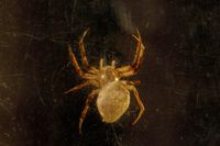 [ARTIFICIALIA] (photo 3)