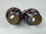 pair of chinese cloise vases with floral designs on them