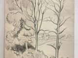 dessin représentant un paysage avec des arbres et une maison au loin