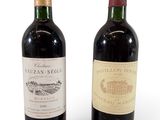 deux bouteilles de vin posées l'une à côté de l'autre sur une surface blanche