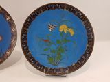 two plates with flowers painted on them on a table
