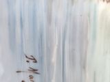 a painting of a bear standing in front of a waterfall
