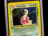 a close up of a pokemon card in a plastic holder
