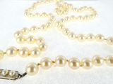 pearl necklace with silver clasp and clasp on a white background