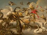 many birds that are flying around in the sky