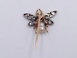 gold plated dragonfly brooch with a pearl and pearl bead