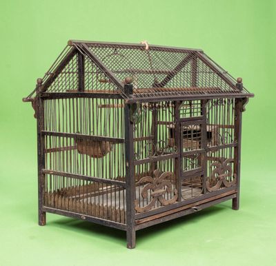 une cage à oiseaux dans laquelle se trouve un oiseau