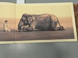 a picture of an elephant laying on the ground next to a person
