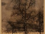 une image représentant une photo en noir et blanc d'un arbre dans la neige