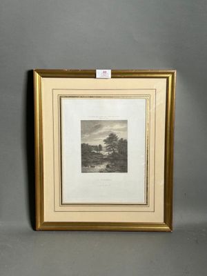 an image of a picture of a picture of a landscape in a gold frame