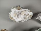 some very pretty rocks with some very pretty white crystals on them