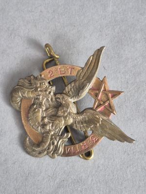 une image représentant une médaille d'or sur laquelle figurent un oiseau et une étoile